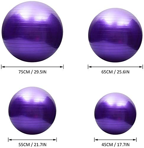 Premium Anti-Burst Yoga Ball - Extra Thick Stability & Balance Ball for Pilates, Barre, Physical Therapy & Home Fitness (45CM/55CM/65CM/75CM) - Includes Free Air Pump - Perfect for Gym, Office & Pregnancy Exercises