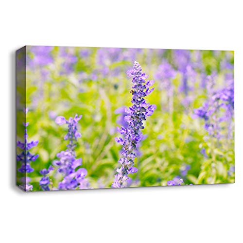 Flower-1907-m10