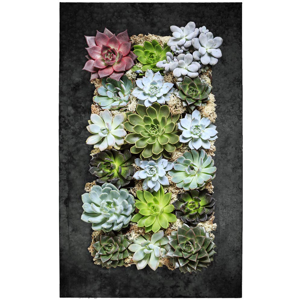 Modern Black Zinc 18-Pocket Succulent Planter - Galvanized Steel Wall Mounted Vertical Garden for Indoor/Outdoor Home Decor - Perfect for Small Plants, Herbs & Air Plants in Living Room, Balcony or Office