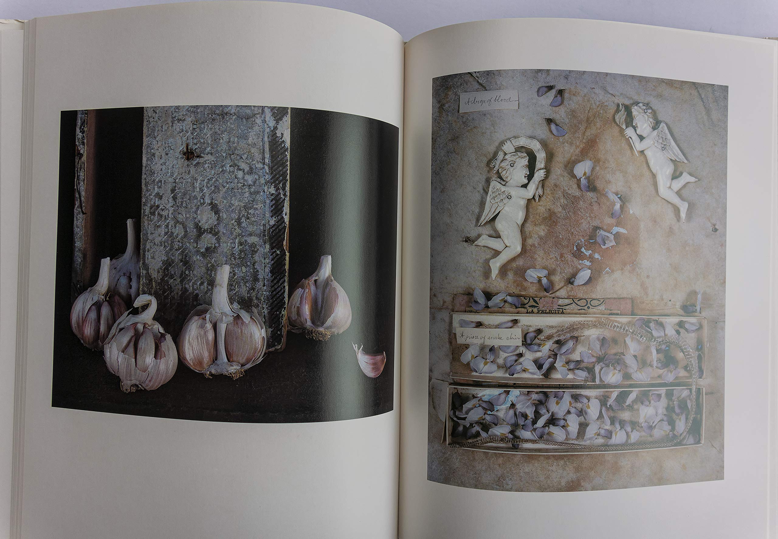 Under the Looking Glass - A New York Graphic Society Book | Art Book for Home Decor & Gift Ideas