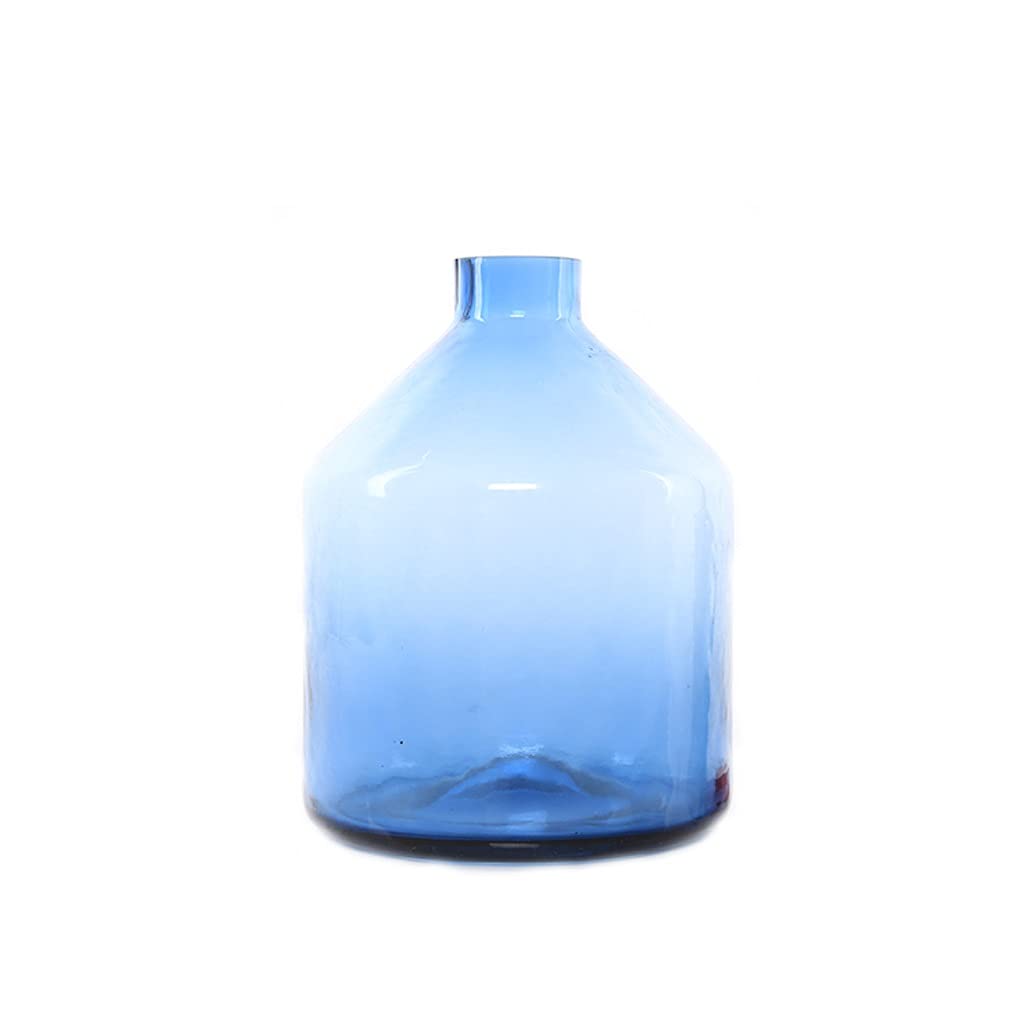 Creative Hydroponic Glass Flower Vase - Transparent Water Vase for Fresh & Dried Flowers - Modern Home Decor for Living Room, Dining Table Centerpiece - Perfect for Floral Arrangements & Indoor Plant Display (Size B)