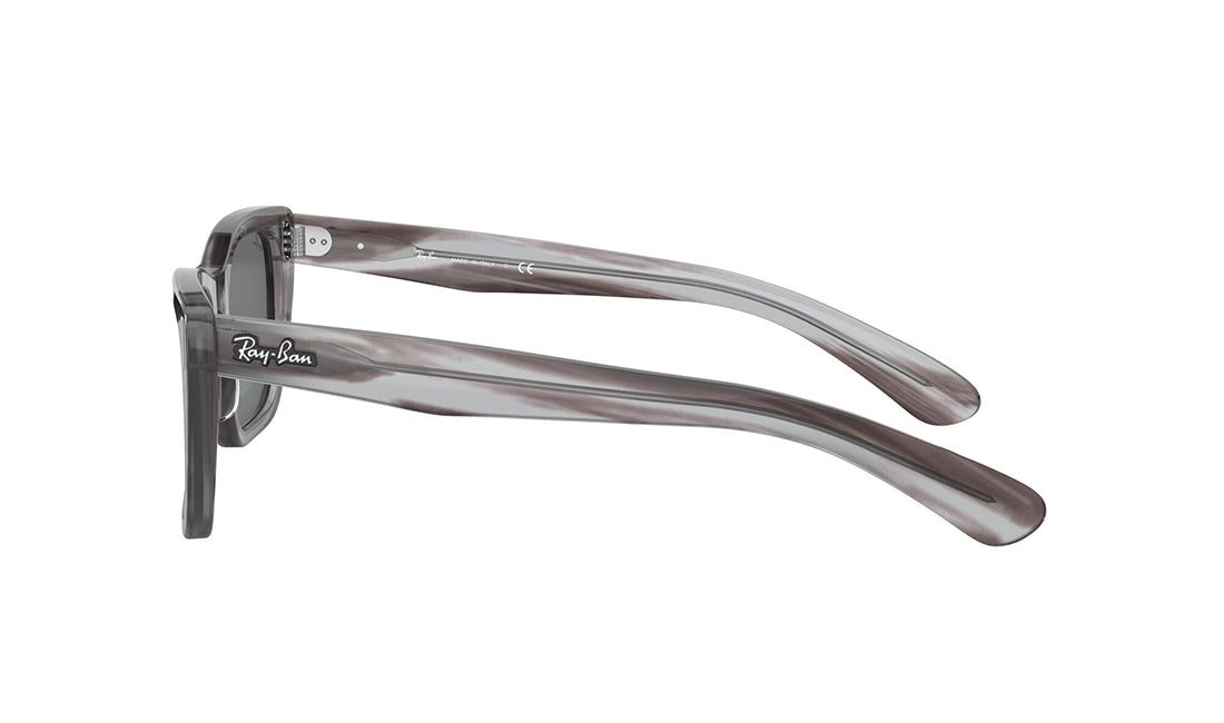RayBan 2248 Sunglasses - Classic Aviator Style, UV Protection, Polarized Lenses - Perfect for Driving, Travel & Outdoor Activities