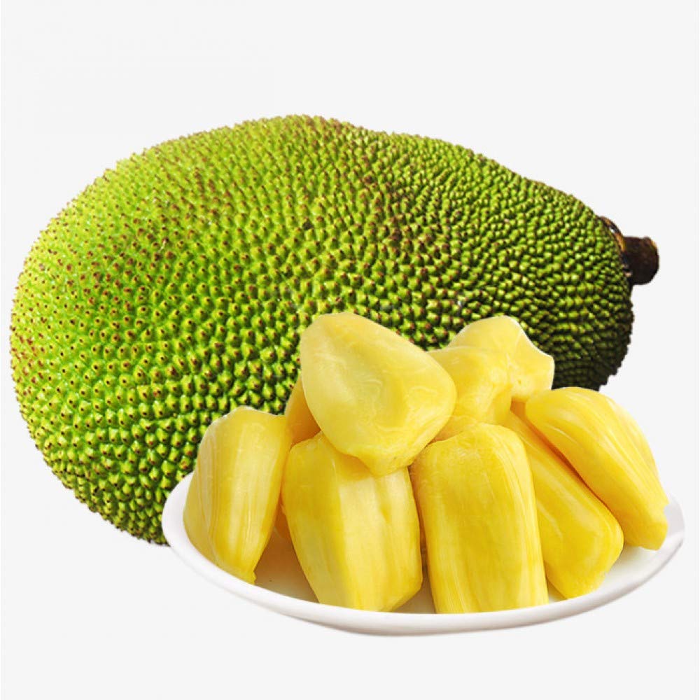 Fresh Whole Jackfruit 5-7 lbs | Premium Tropical Fruit for Smoothies, Desserts & Vegan Recipes | USDA Organic | Ripe & Ready to Eat