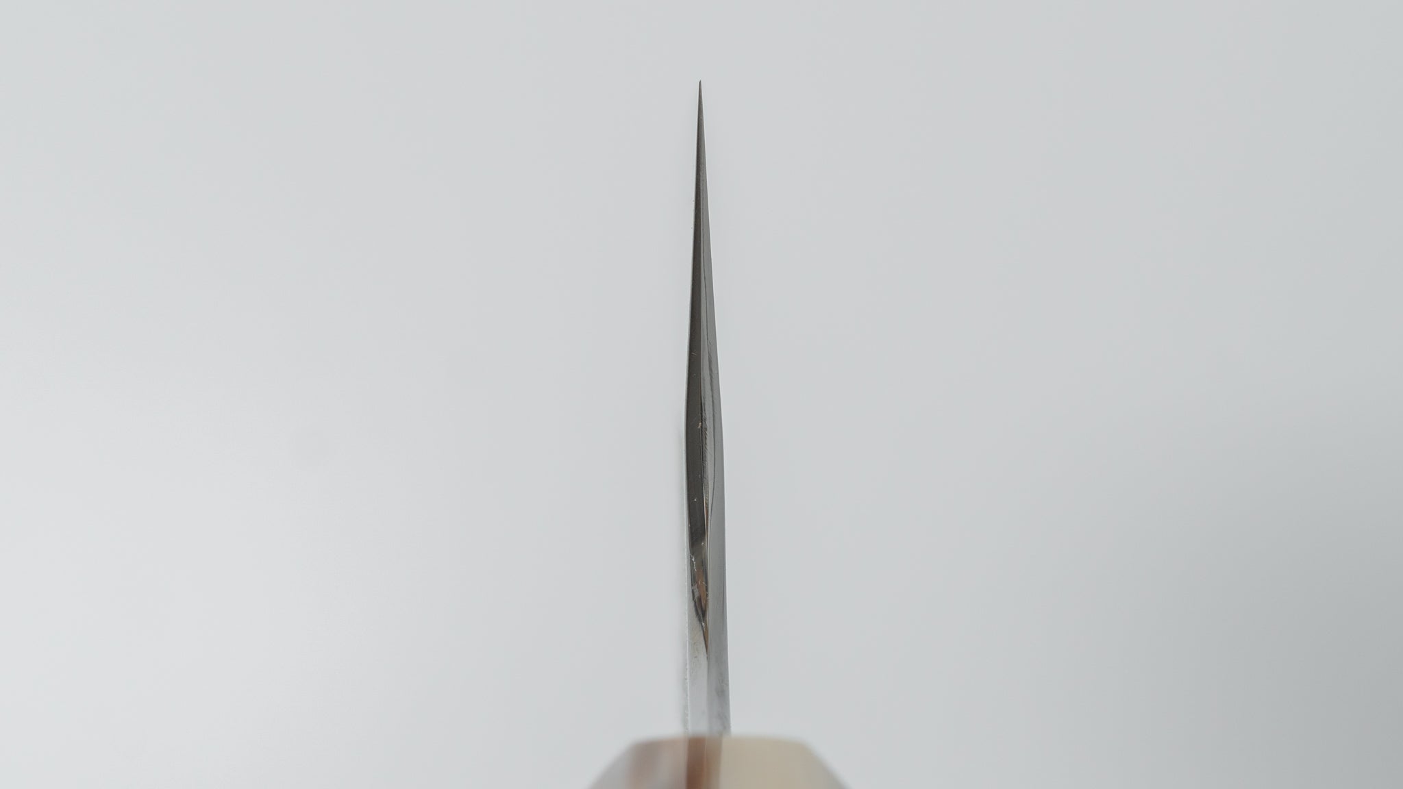 Hitohira Togashi Blue #2 Kurouchi Gyuto 210mm Japanese Chef Knife with Ebony Handle - Perfect for Sushi, Meat Cutting & Professional Kitchen Use