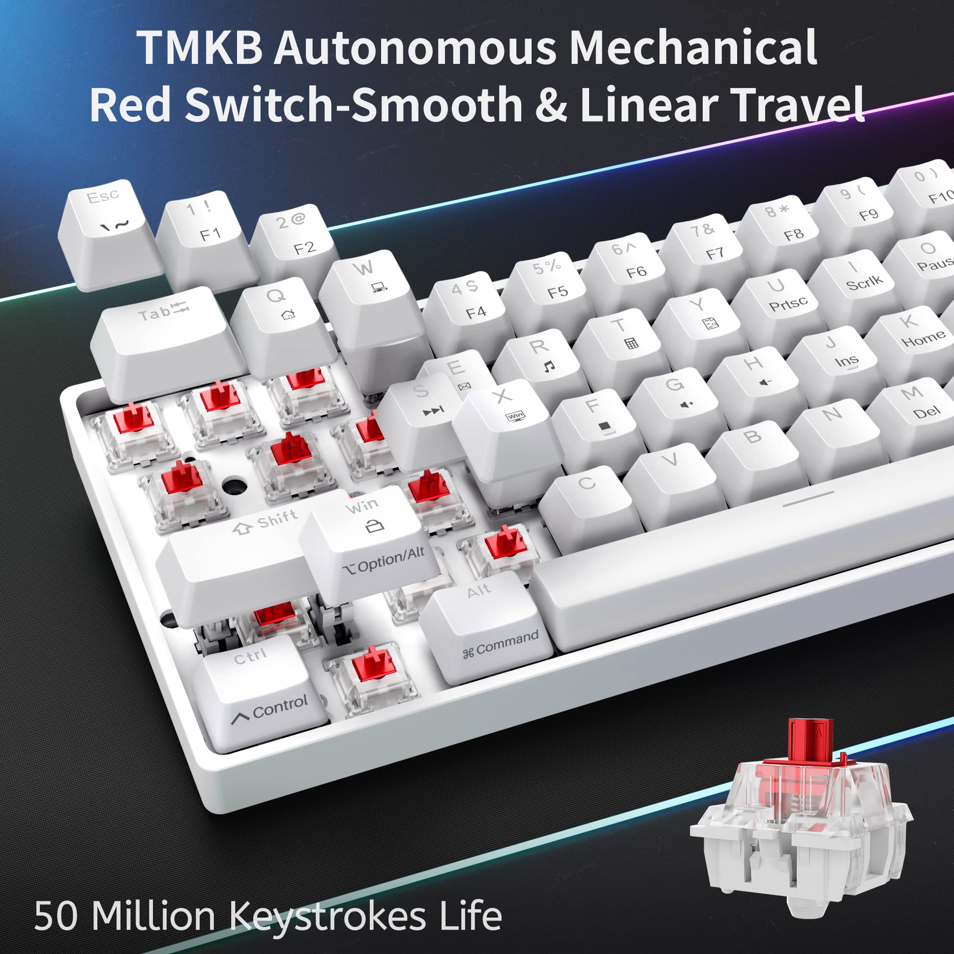 Dierya DK61SE 60% Wired Mechanical Gaming Keyboard - Red Switch, Ice Blue Backlight, Compact 61 Keys Anti-Ghosting (US Layout) - Perfect for PC Gaming, Office Work & Typing Enthusiasts - White