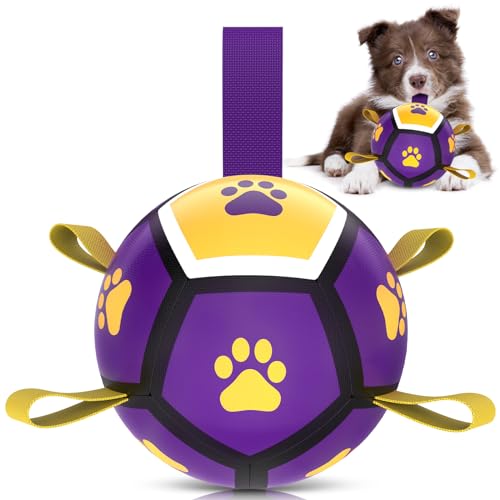 Yellow Purple