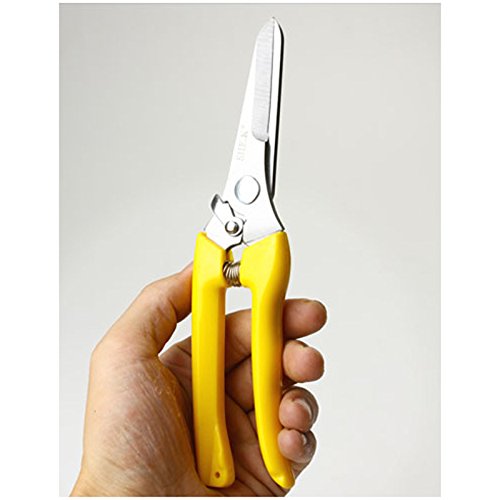 Stainless Steel Pruning Snips - Micro-Tip Garden Shears for Bushes & Hedges | Perfect for Landscaping & Trimming