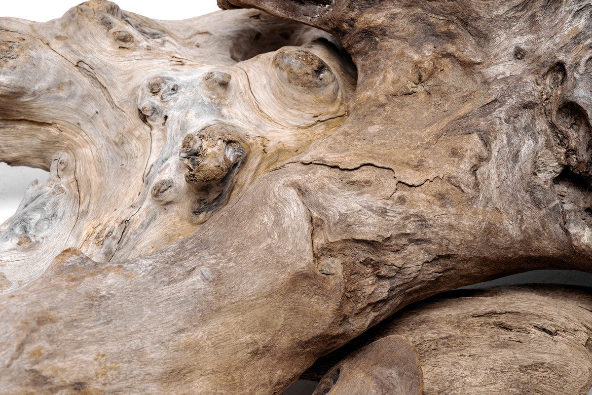 Natural Driftwood Decor for Home & Aquarium - Unique Wooden Accent Pieces for DIY, Crafts, and Terrarium Scenery