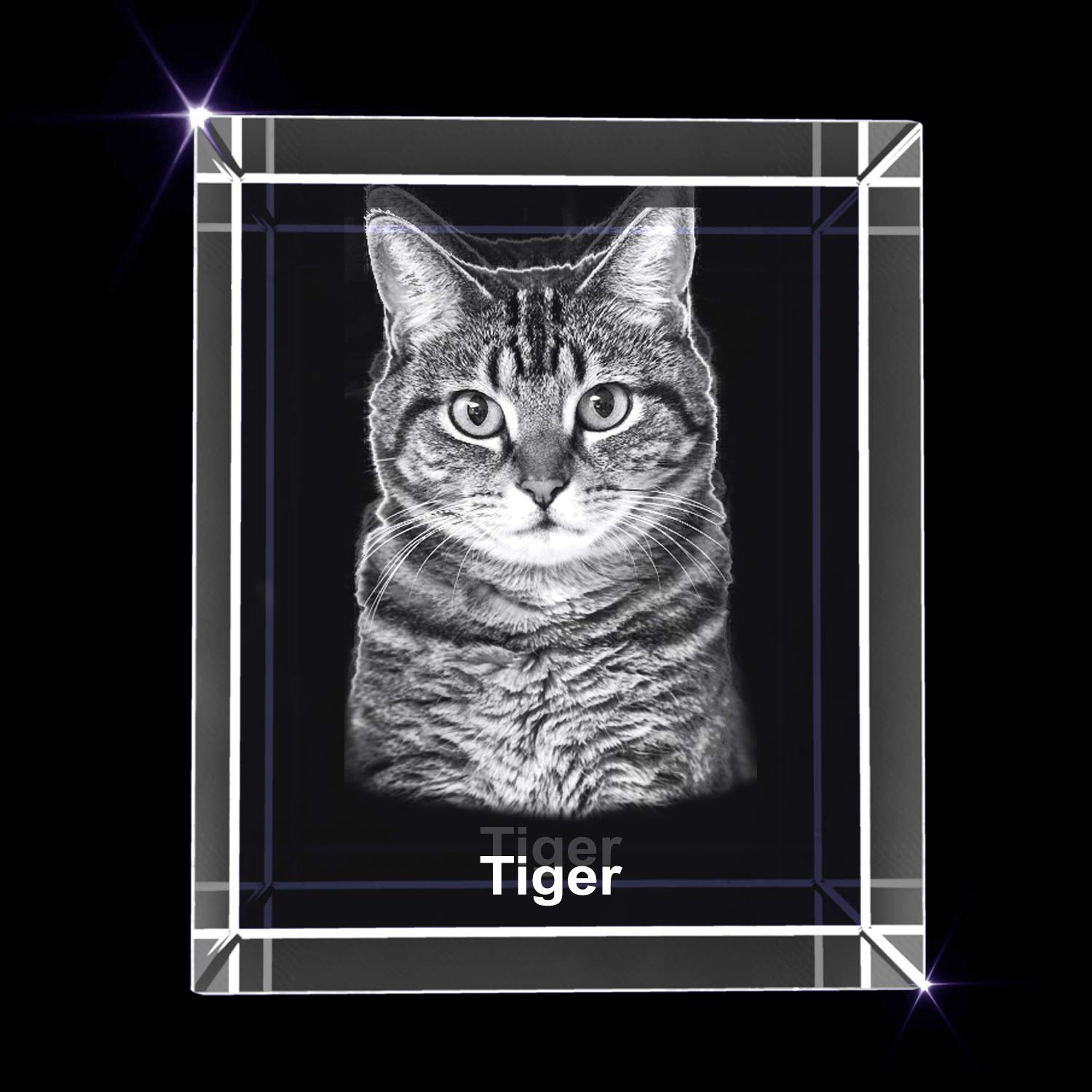 Personalized Pet 3D Engraved Crystal Photo Gift - Custom Memorial Keepsake for Dogs & Cats - Perfect for Pet Lovers, Anniversary, Birthday & Memorial Gifts (Medium Rectangle)