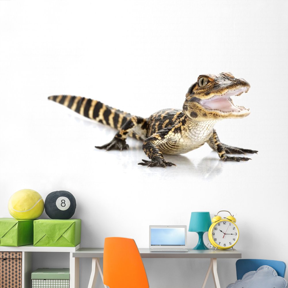 Wallmonkeys Peel and Stick Baby American Alligator Wall Decal - 72x48 Inch Animal Graphic Art (WM371082) - Perfect for Nursery, Kids Room & Wildlife Themed Decor