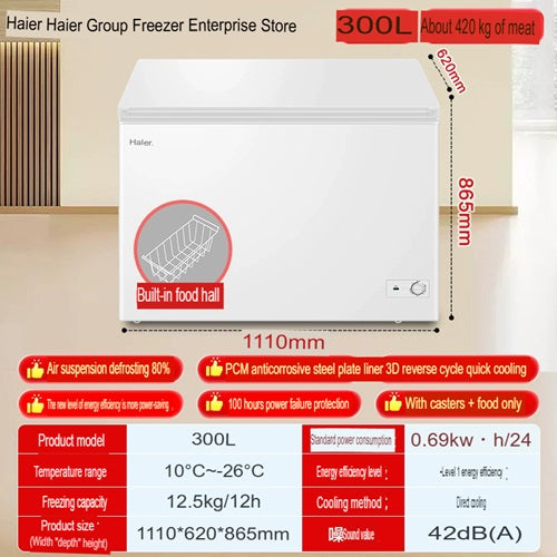 Haier BCBD 300GHP 300L Commercial Freezer - Energy Efficient Upright Deep Freezer for Restaurants, Grocery Stores & Catering Businesses