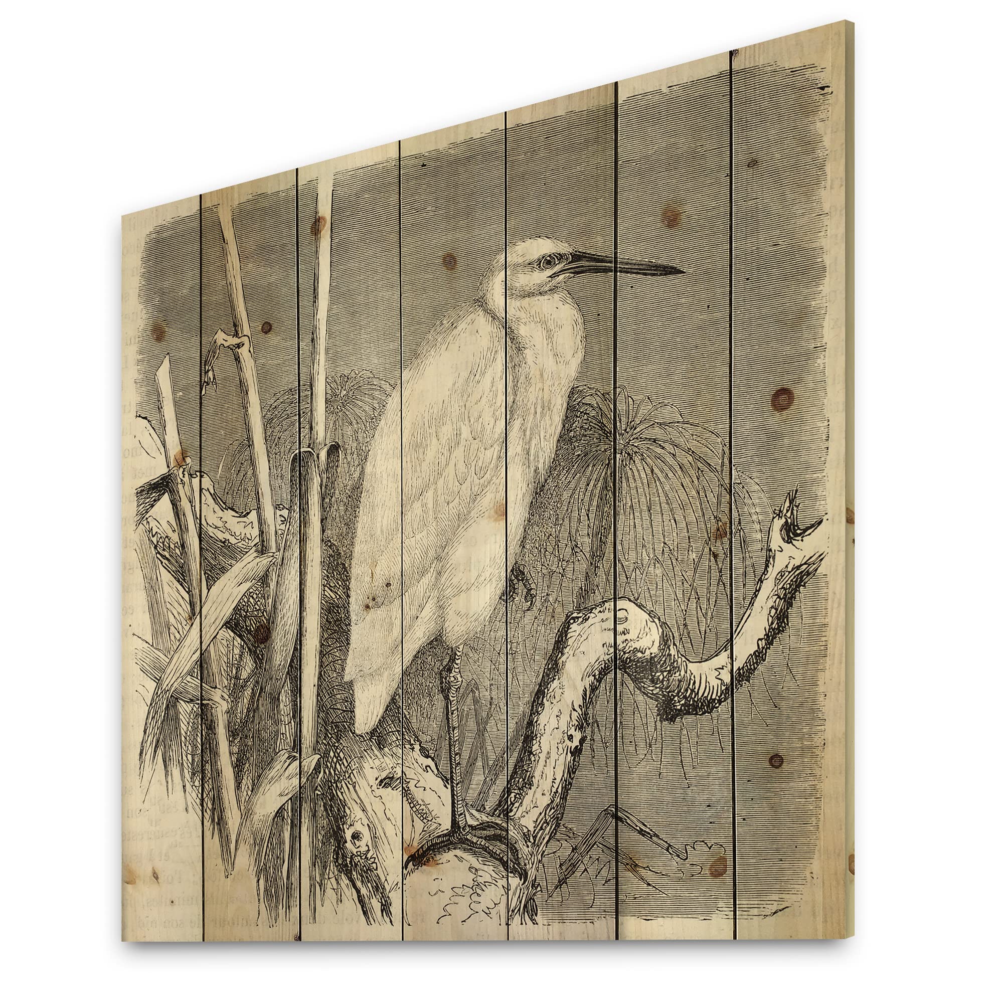 DesignQ Little Egret Bird Farmhouse Wood Wall Decor - Grey Wooden Wall Art with Large Animal Prints on Natural Pine - Perfect for Rustic Home, Cabin & Farmhouse Interior Decor