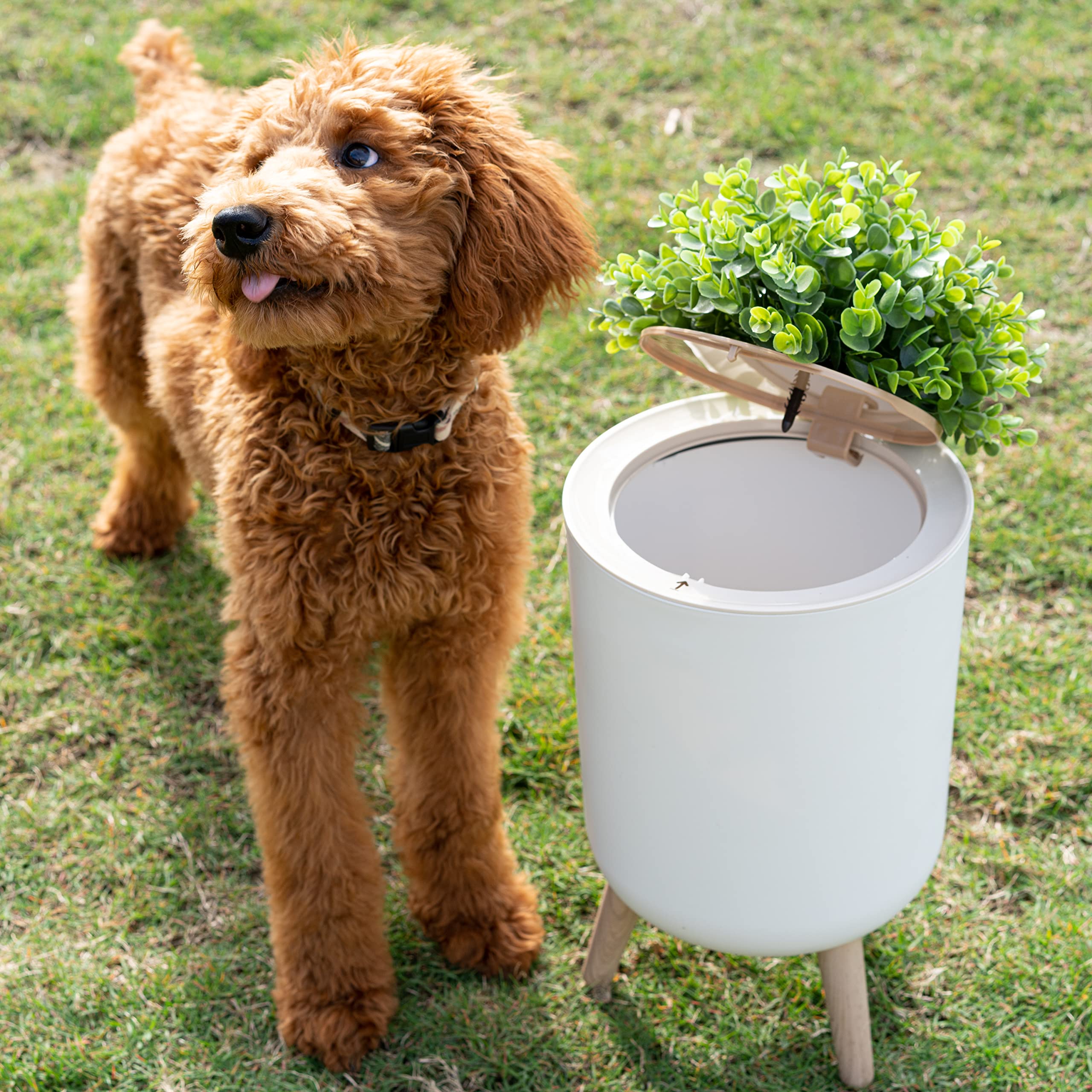 Eco-Friendly 1.8 Gallon Outdoor Trash Can with Lid - Stylish Plant-Themed Small Garbage Bin for Dog Waste Disposal - Perfect for Backyards, Patios & Pet Stations - Discreet Pet Poop Waste Solution