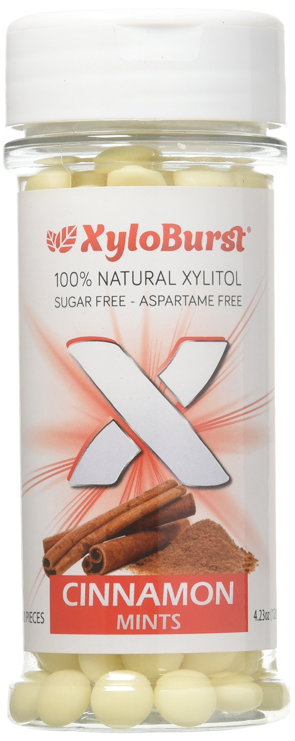 XyloBurst - Sugar Free Xylitol Mints for Fresh Breath & Oral Health | Gluten Free, Vegan, Keto Friendly Mint Candy | Aspartame Free Cinnamon Flavor | 200 Count Jar | Perfect for Travel, Office & After Meals