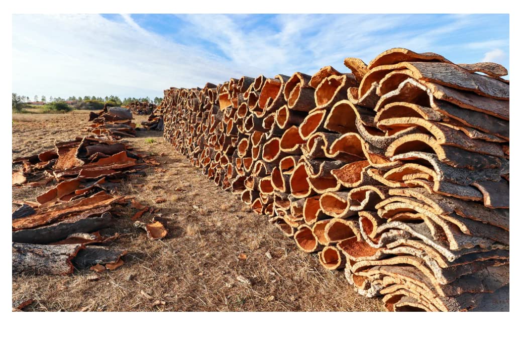 Premium Bulk Cork Bark Flats - Natural & Eco-Friendly (20 lbs) - Perfect for Reptile Habitats, Terrariums, and DIY Craft Projects