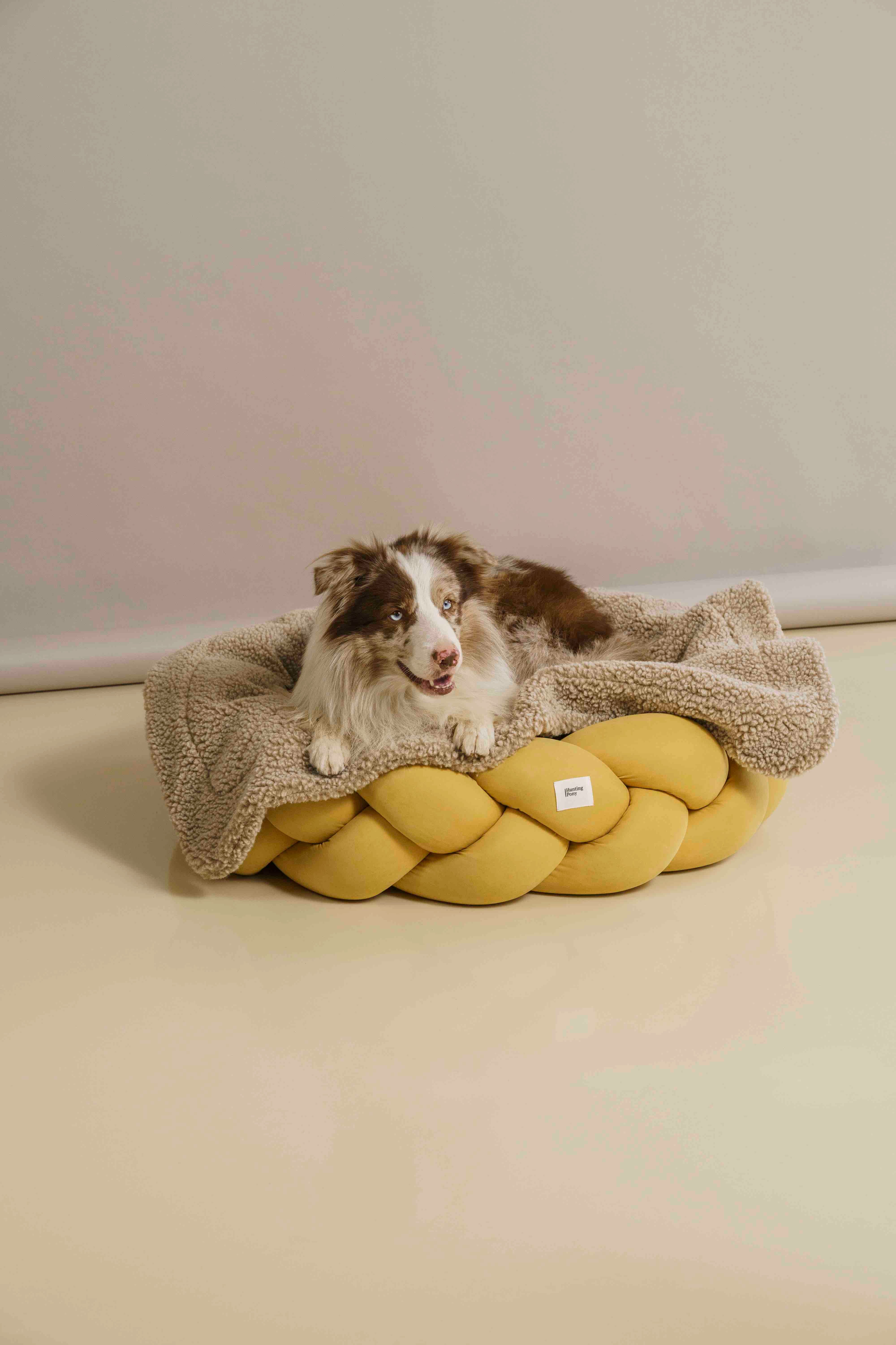 Cozy Dog Blanket for Small & Medium Dogs - Soft & Warm Beige Pet Blanket for Beds, Couches & Travel - Sleepy Pony Design for Comfortable Napping