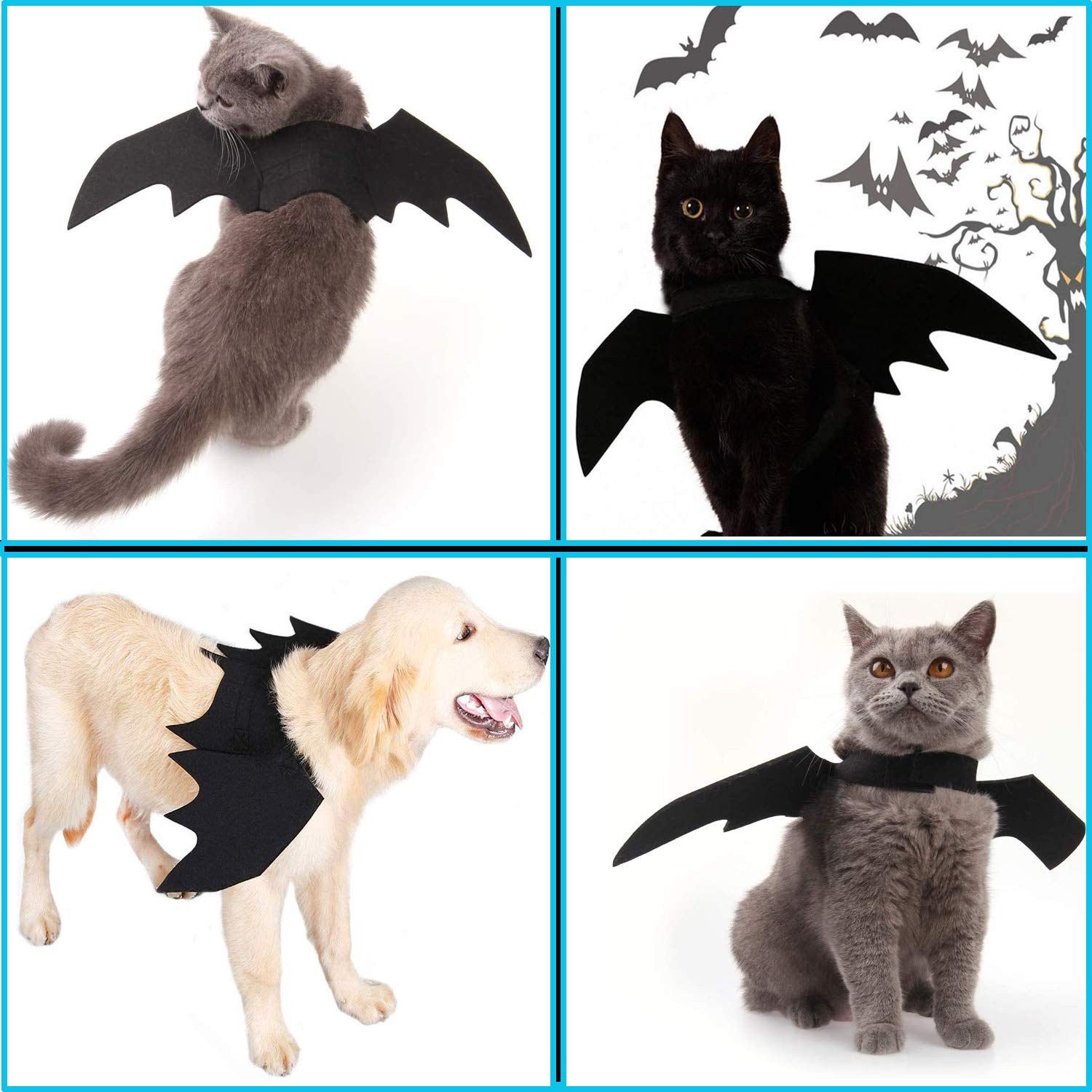 Black Cat Bat Wings for Halloween - Pet Costume Accessories for Cats & Small Dogs | Perfect for Halloween Parties, Cosplay & Dress Up Fun