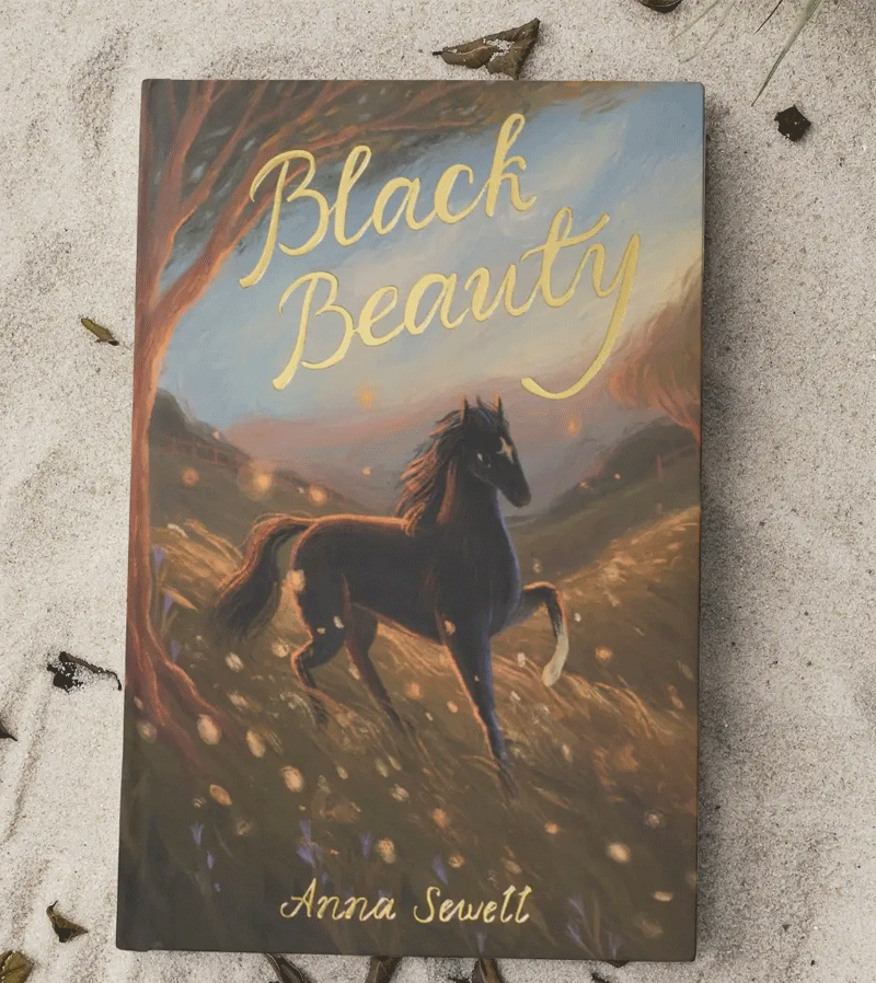Black Beauty Wordsworth Exclusive Collection - Premium Fashion Accessories for Women | Elegant Handbags, Wallets & Clutches | Perfect for Parties, Weddings & Special Occasions
