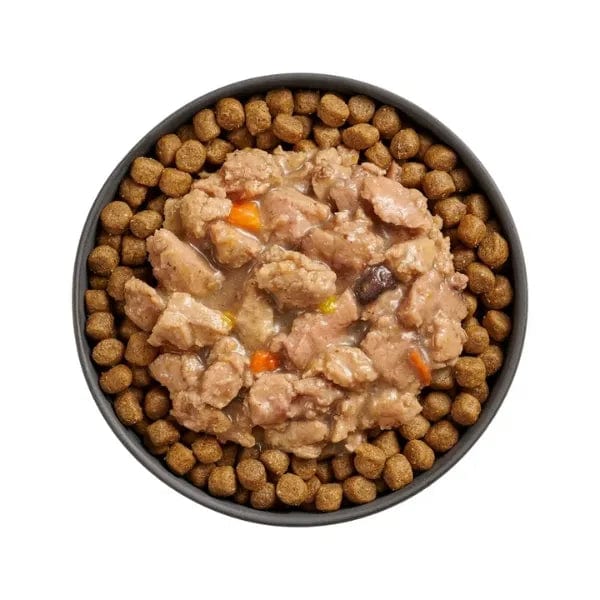 Go! Solutions Immune Health Booster Wet Cat Food - Minced Chicken & Salmon with Gravy | High Protein, Grain-Free Recipe for Adult Cats | Supports Digestive Health & Strong Immunity | Perfect for Picky Eaters & Sensitive Stomachs