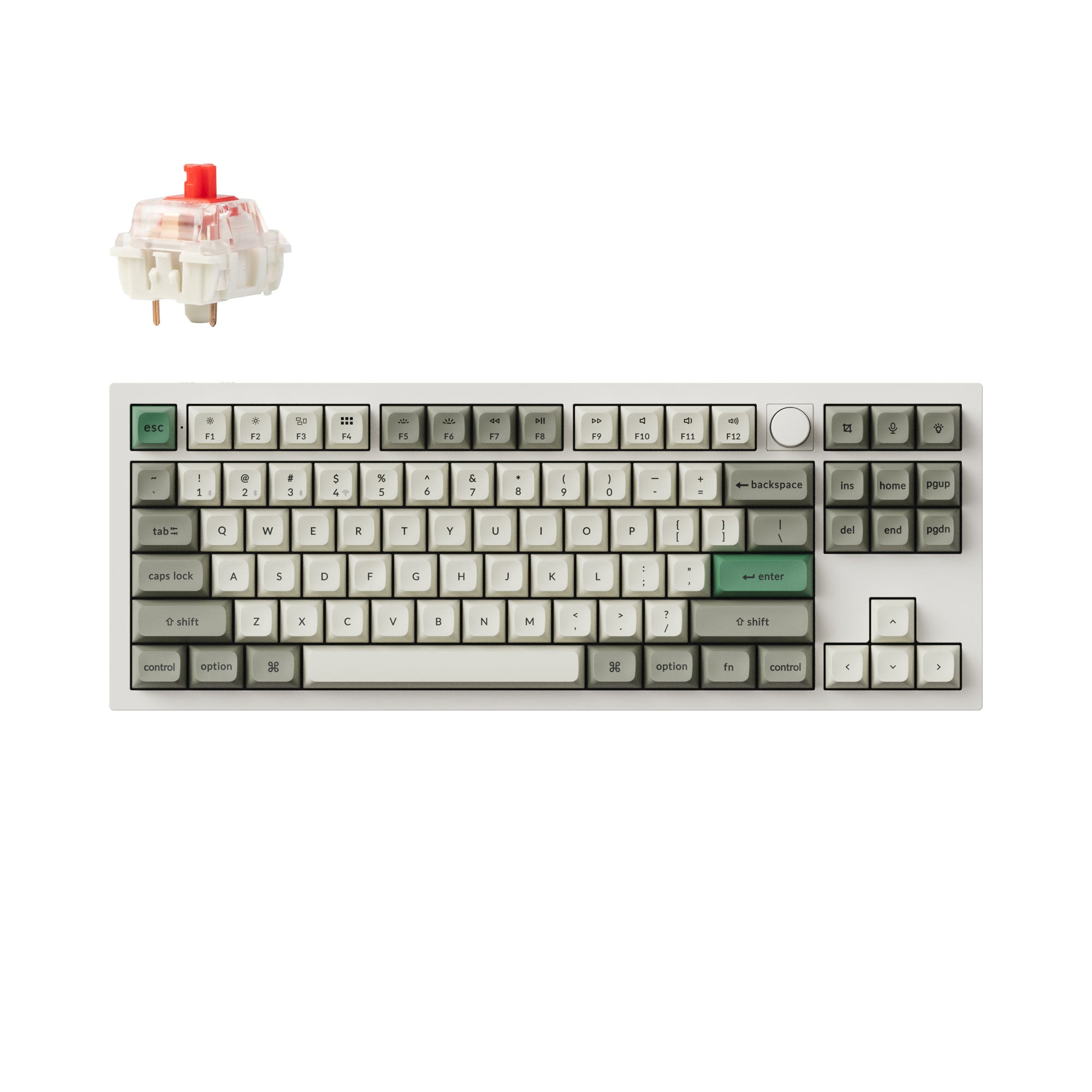 Shell White