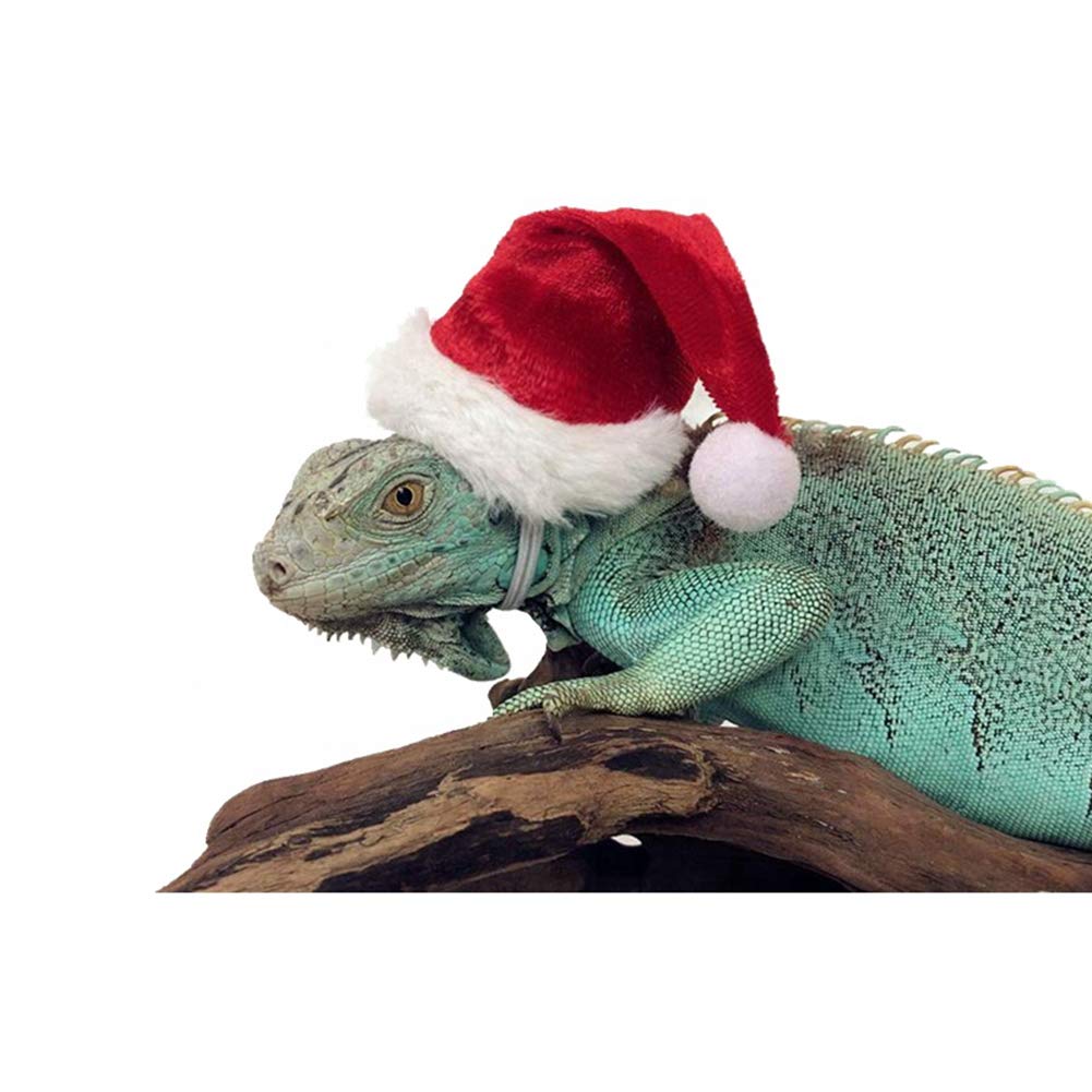 HAICHEN TEC Bearded Dragon Christmas Costume Set - Handmade Flannel Lizard Clothes with Scarf & Hat | Reptile Apparel for Holiday Photos & Festive Pet Parties