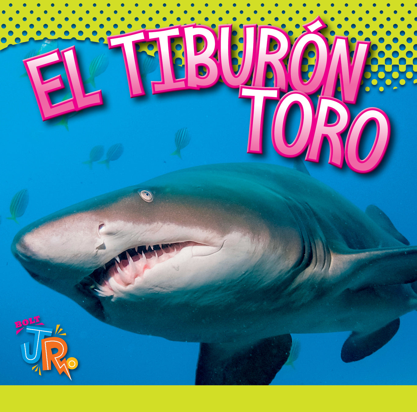 El Tiburon Toro Book 9781623108281 - Bull Shark Facts & Adventure for Kids - Perfect for Classroom Learning & Home Reading