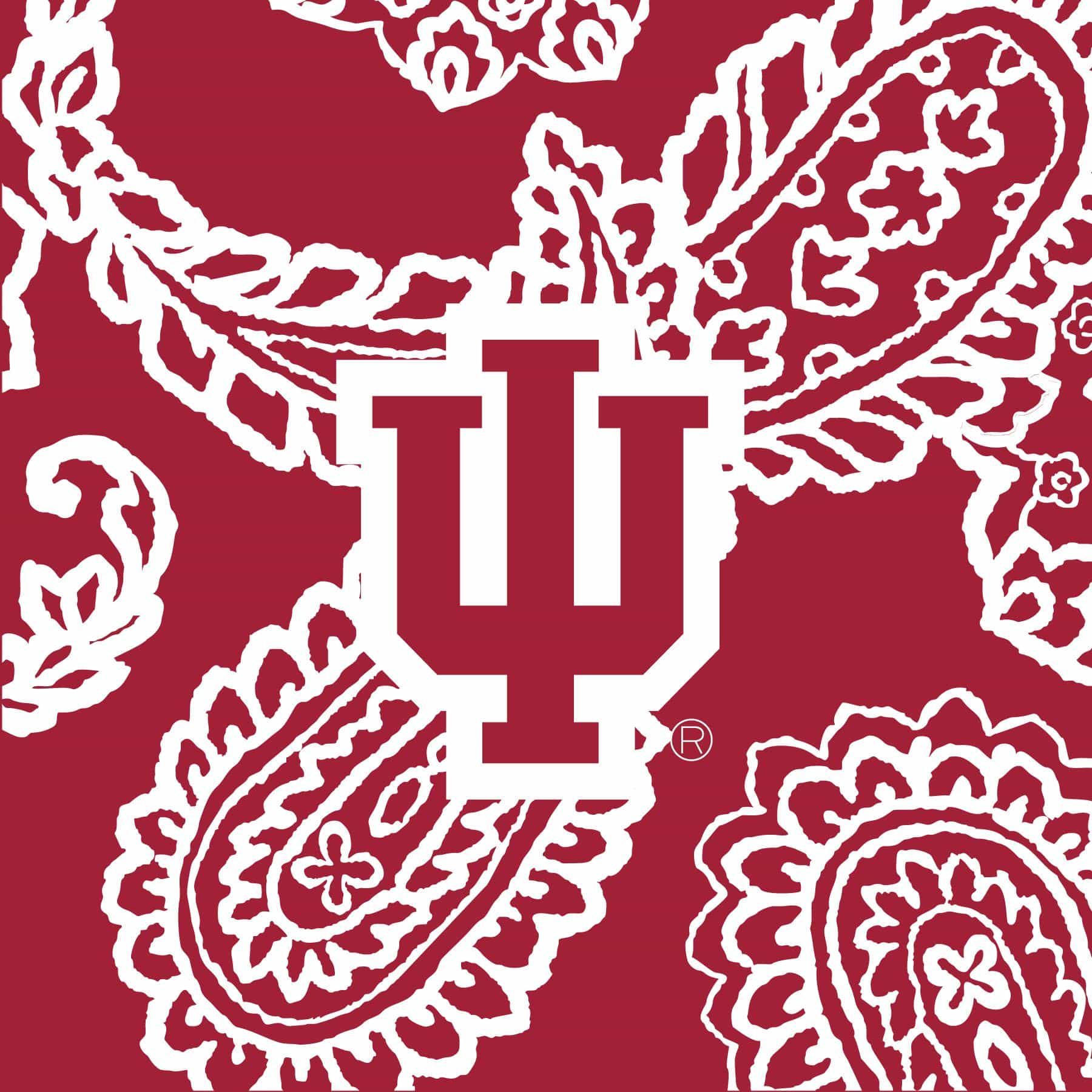 **Soft & Cozy Collegiate Plush XL Throw Blanket - Extra Large, Ultra Comfortable for Dorms, Couches & Game Day - Perfect for College Students & Sports Fans**