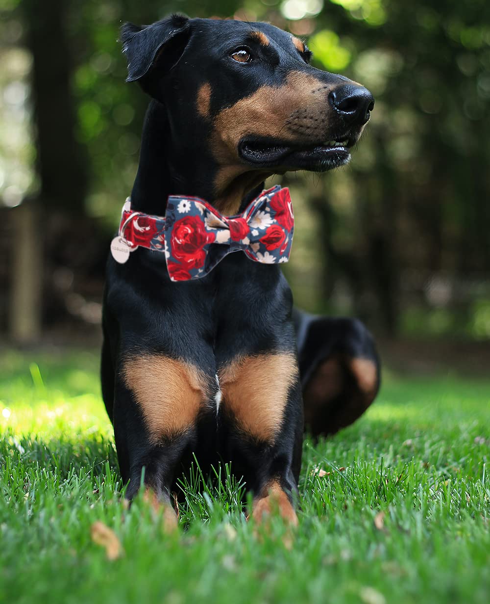 DOGWONG Adjustable Cotton Dog Collar with Floral Print & Bow - Soft Summer Collar for Small, Medium, Large Dogs - Perfect for Daily Walks, Outdoor Adventures & Pet Fashion