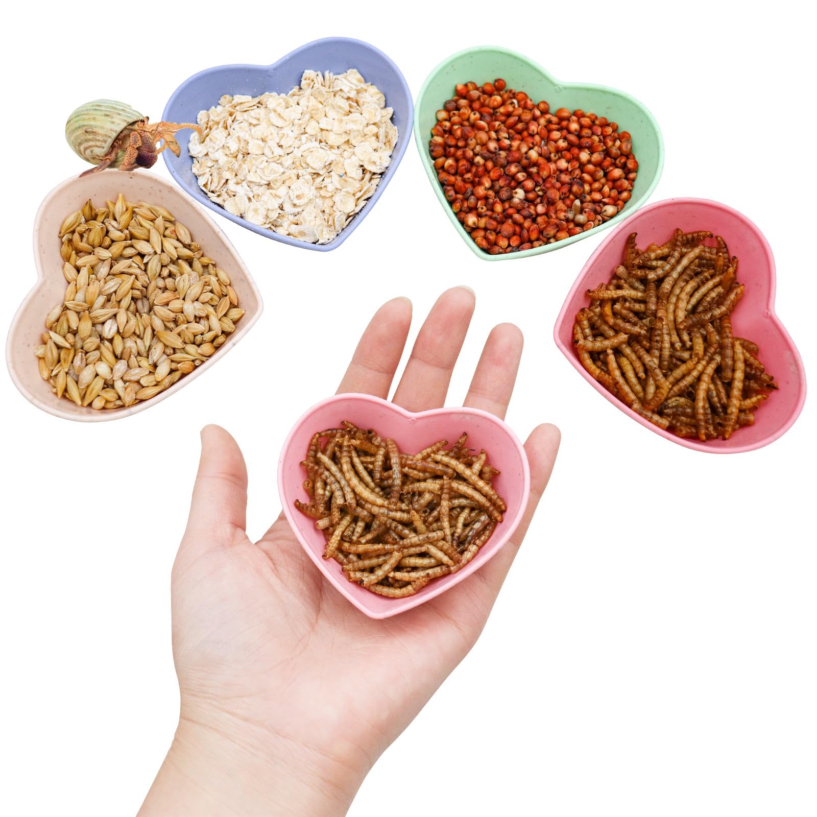 4 Pack Hermit Crab Plastic Food & Water Dishes - Mini Feeding Bowl Kit for Hermit Crabs, Tarantulas, Snails - Perfect for Reptile Terrariums and Small Pet Habitats
