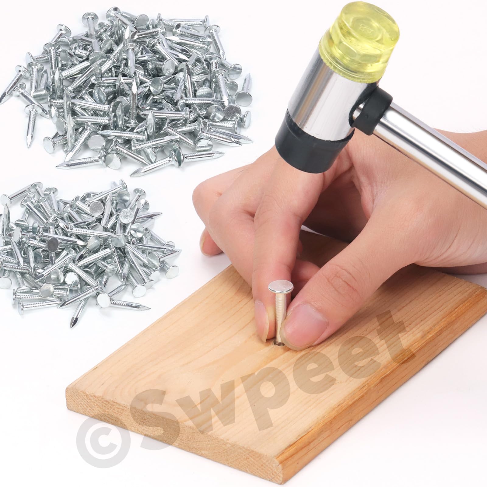 Swpeet 300Pcs 1-Inch Galvanized Roofing Nails - High Quality Felt Nails for Asphalt Shingles, Insulation Boards & Roofing Felt Installation | Perfect for Roof Repairs, DIY Projects & Construction Work