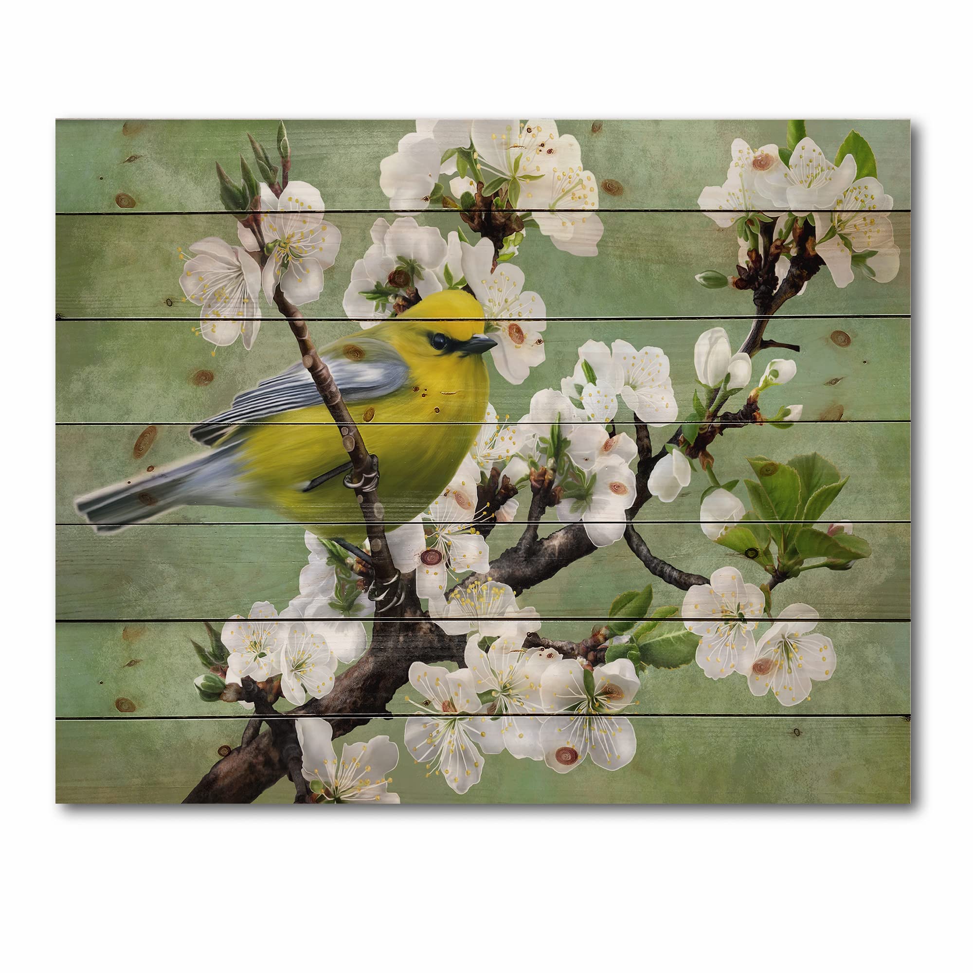 DesignQ Traditional Cherry Branch Bird Wood Wall Art - Green Large Animal Wall Decor, Natural Pine Wood Panel Print - Perfect for Living Room, Bedroom & Office Decor