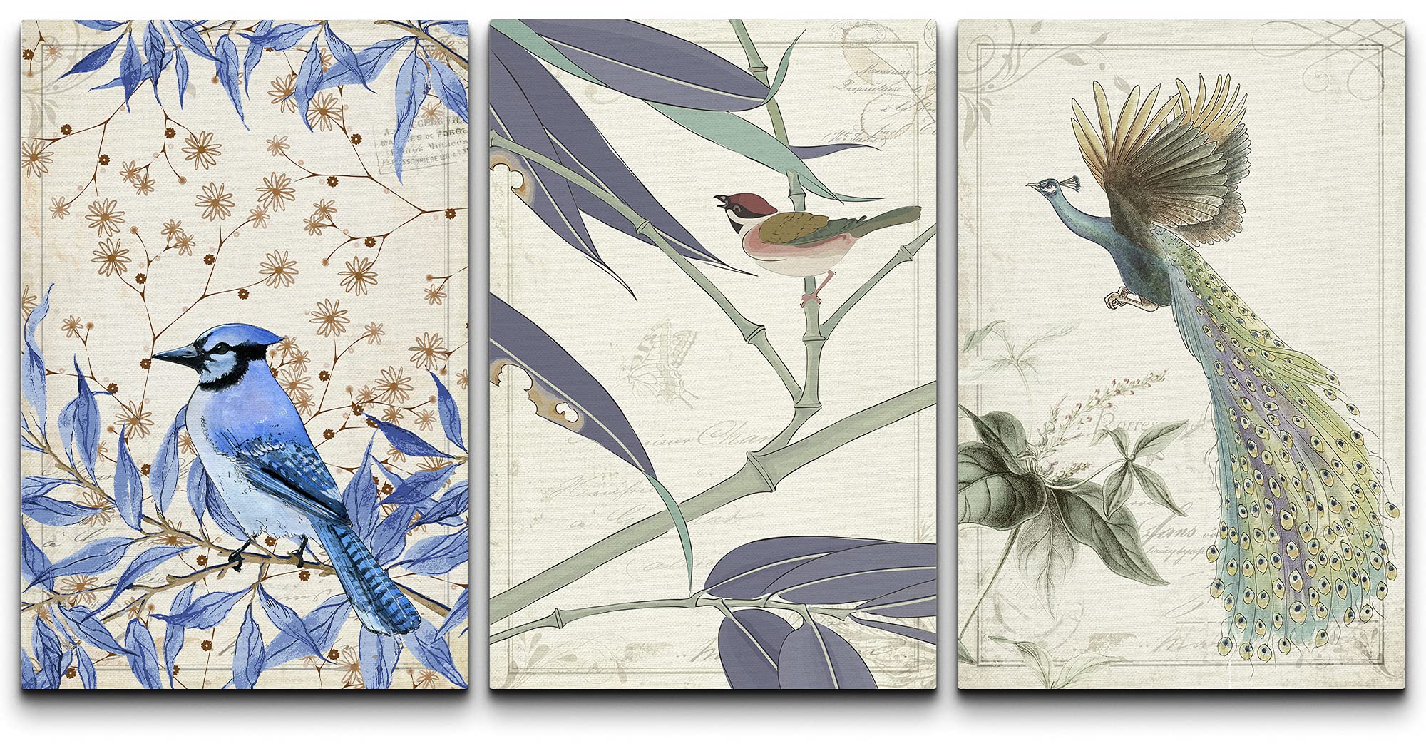 Wall26 Tropical Bluejay & Peacock Canvas Print Set - 24