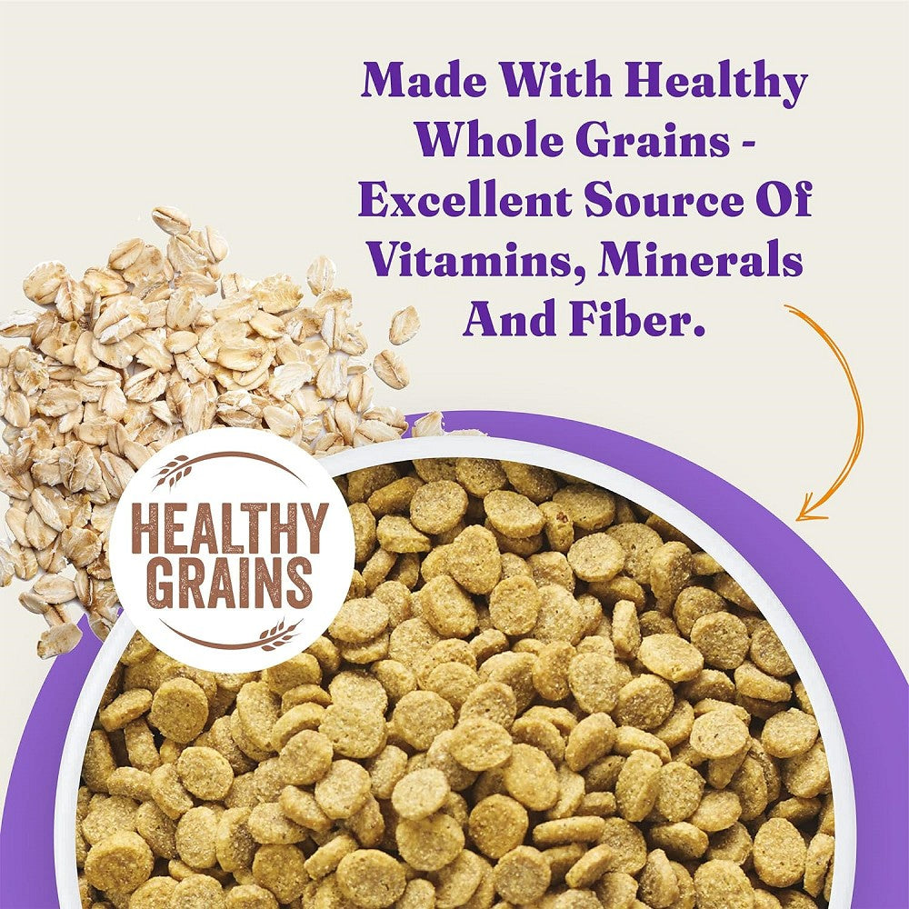 Premium Holistic Healthy Grains Dog Food with Wild Caught Salmon & Whitefish - High Protein Dry Kibble for Adult Dogs - Supports Skin, Coat & Joint Health - Ideal for Active & Sensitive Dogs