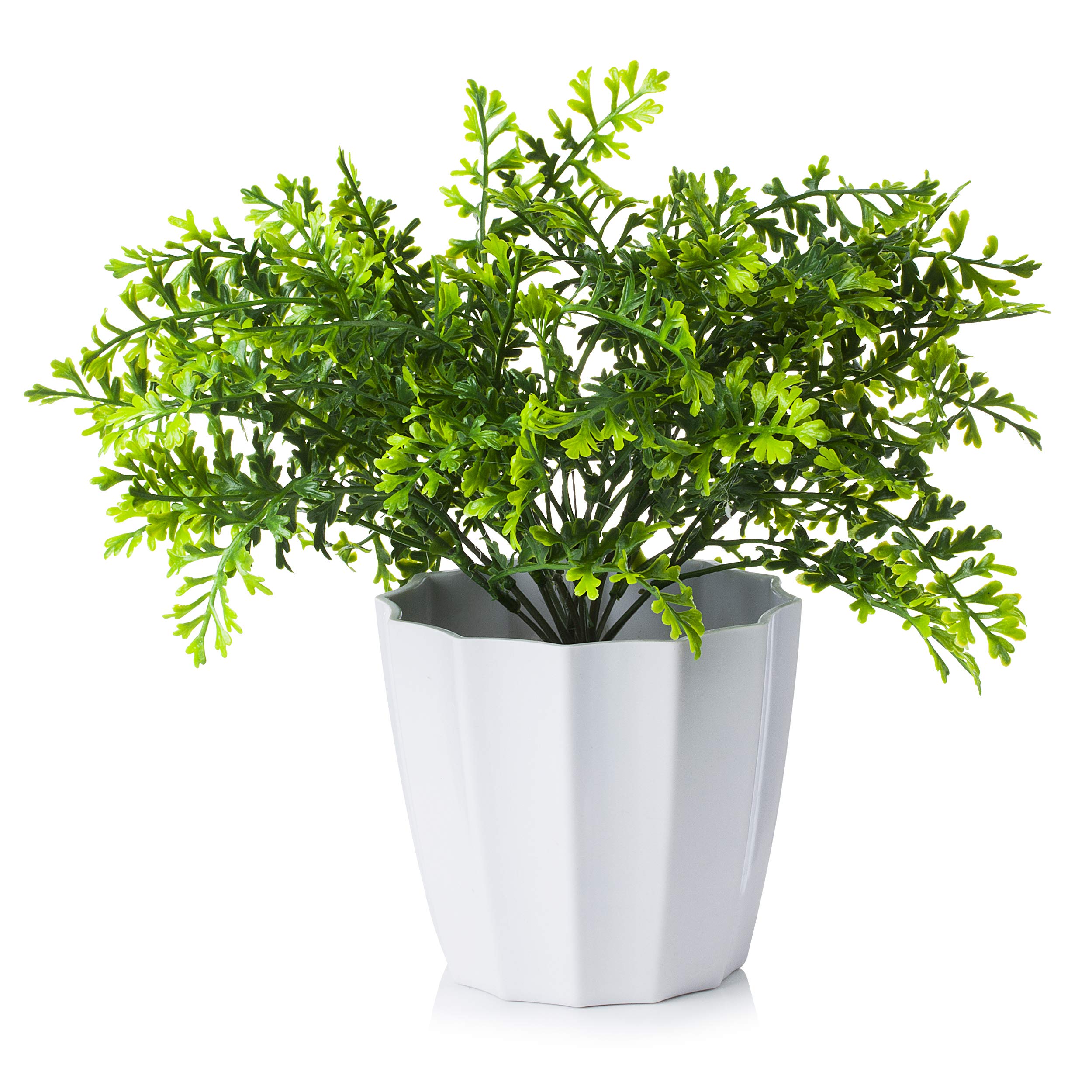 Enova Home 12 Inch Tall Artificial Greenery Plant in White Pot - Fake Potted Plants for Home, Office, Living Room, Bedroom Decor - Perfect for Desk, Shelf, Tabletop & Indoor Decorations