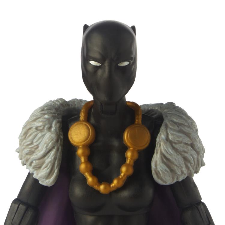 Black Panther Marvel Legends Shuri & Klaw Action Figure 2-Pack – Collectible Superhero Toys for Fans & Gift Ideas | Display, Play, or Cosplay