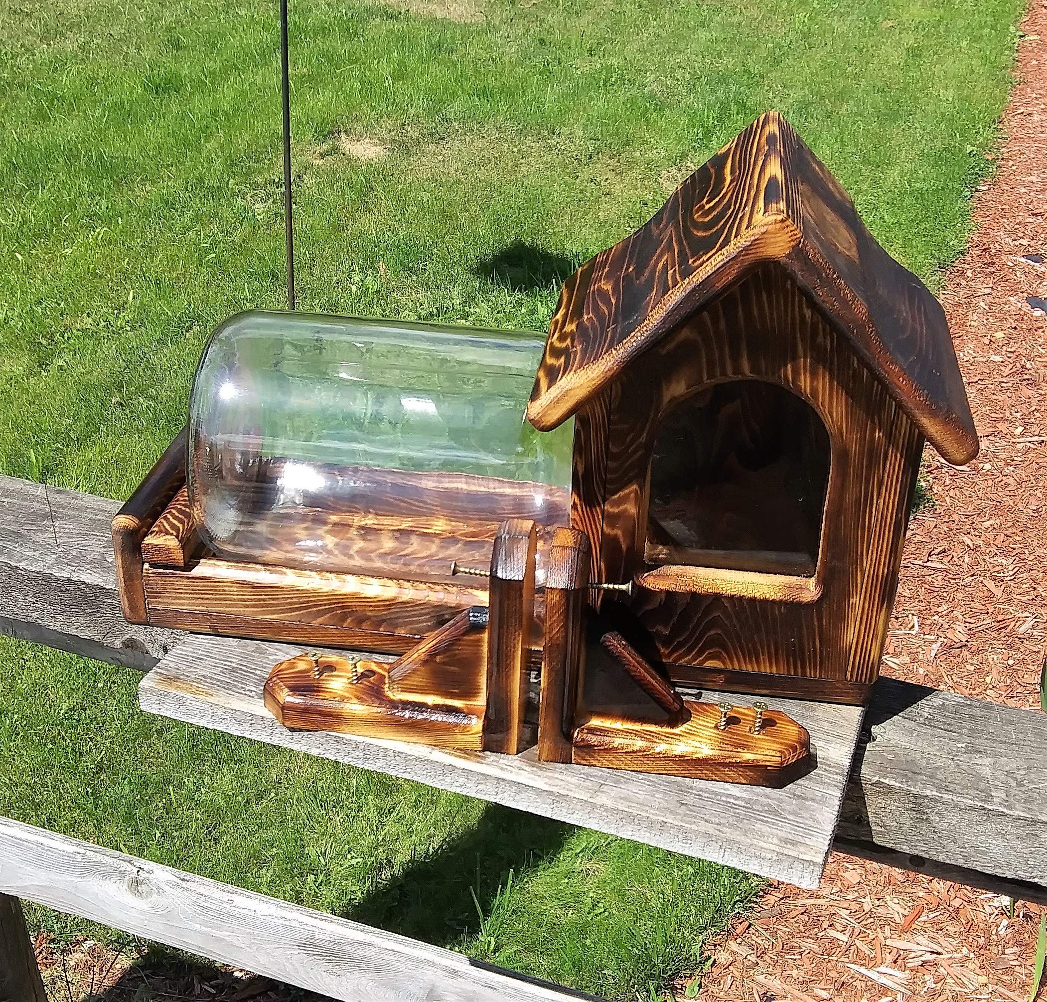 Cedar Wood Squirrel Feeder - Gallon Glass Jar with Fence Mount - Outdoor Wildlife Feeding for Backyard, Garden & Patio