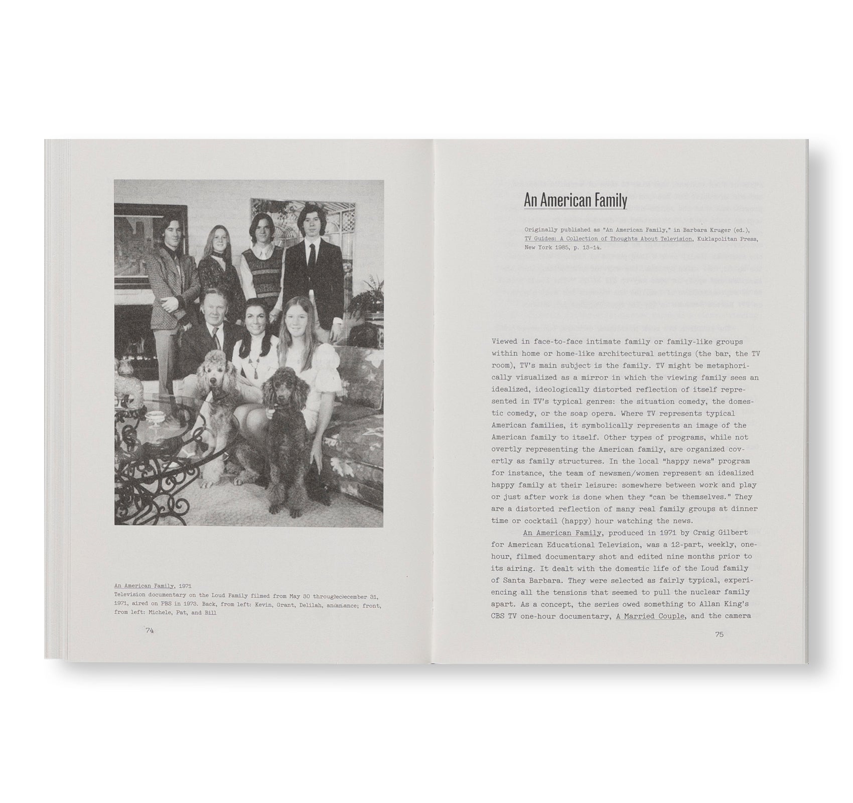 NUGGETS – New and Old Writing on Art, Architecture, and Culture by Dan Graham | Art Theory Book for Artists, Architects & Cultural Studies | Perfect for Research, Academic Study & Creative Inspiration