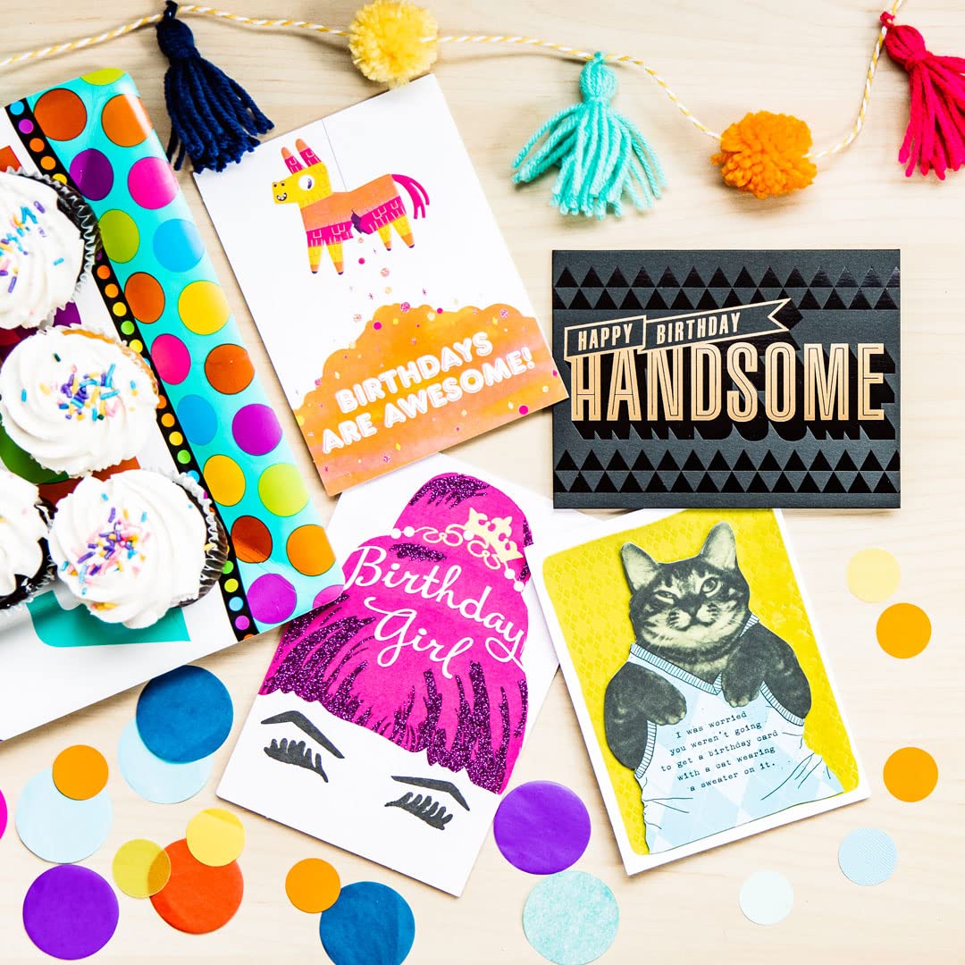 Funny Cat Birthday Card - American Greetings Humorous Cat Wearing Argyle Sweater Card for Cat Lovers - Perfect for Friends & Family Birthday Gifts