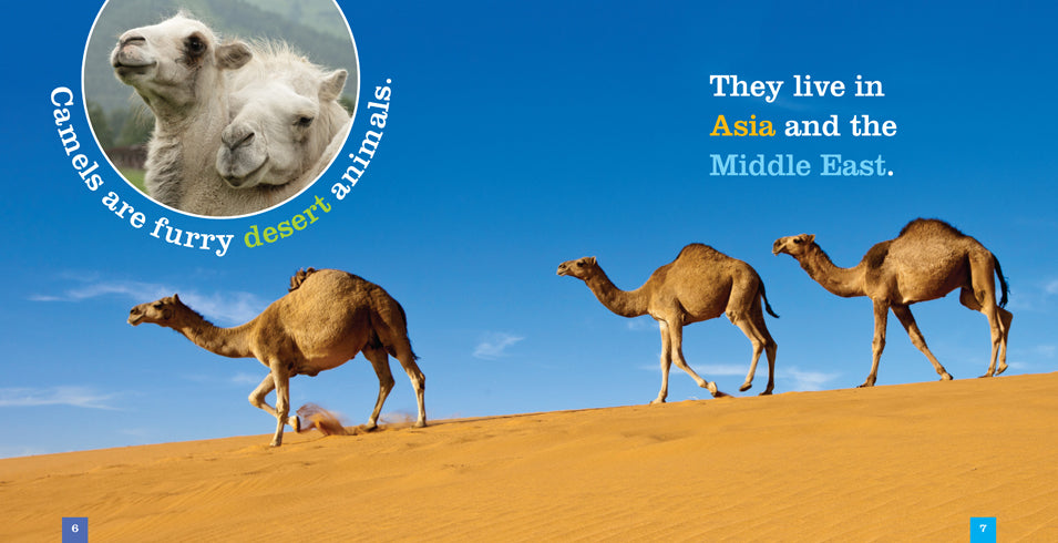 Camels Book - ISBN 9781608185139 - Perfect for Animal Lovers & Desert Adventure Enthusiasts