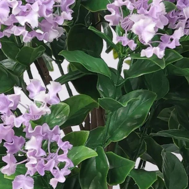 Lilac Crepe Myrtle Tree - 47