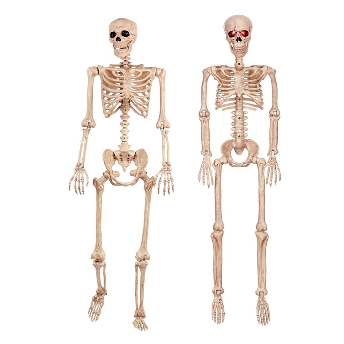 Lifesize Halloween Graveyard Decorations - Realistic Skeleton Skull & Bones Props for Spooky Party, Haunted House, and Outdoor Yard Decor