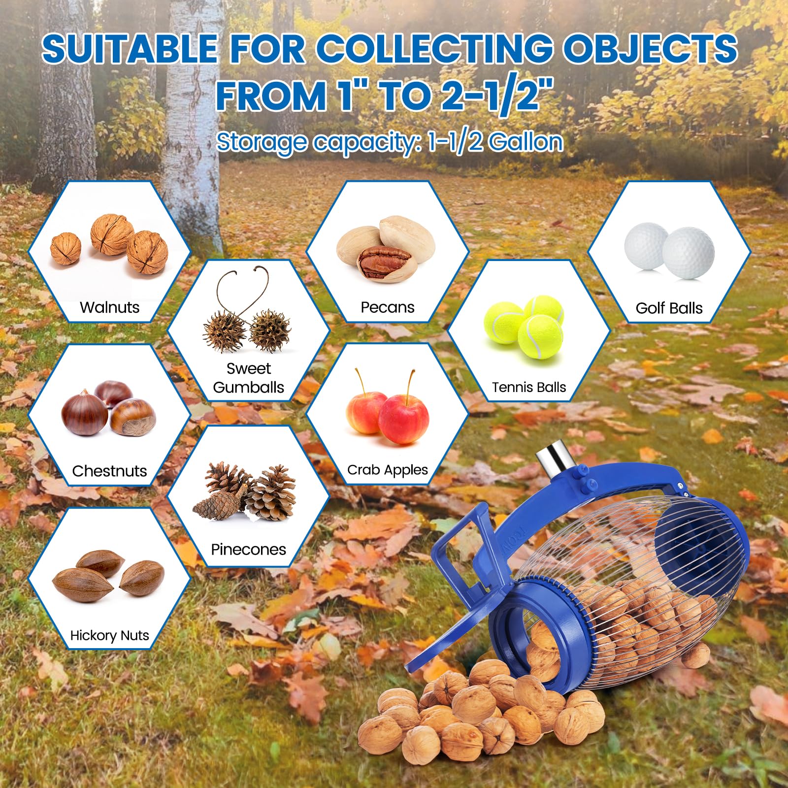 Large Nut Gatherer Roller - Walnut & Pinecone Picker Upper Tool for Gardens (1'' to 2.5'' Size) | Collects Sweet Gumballs, Golf & Tennis Balls | Perfect for Yard Cleanup, Harvesting Nuts & Outdoor Activities