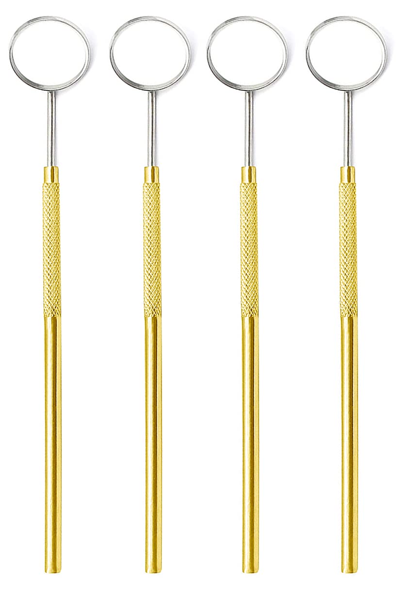 4-Piece Gold Stainless Steel Eyelash Extension & Dental Mirror Set - Detachable Beauty Tools for Makeup, Lash Extensions, Dental Inspection & Small Detail Observation - Perfect for Salons, Clinics & Home Use
