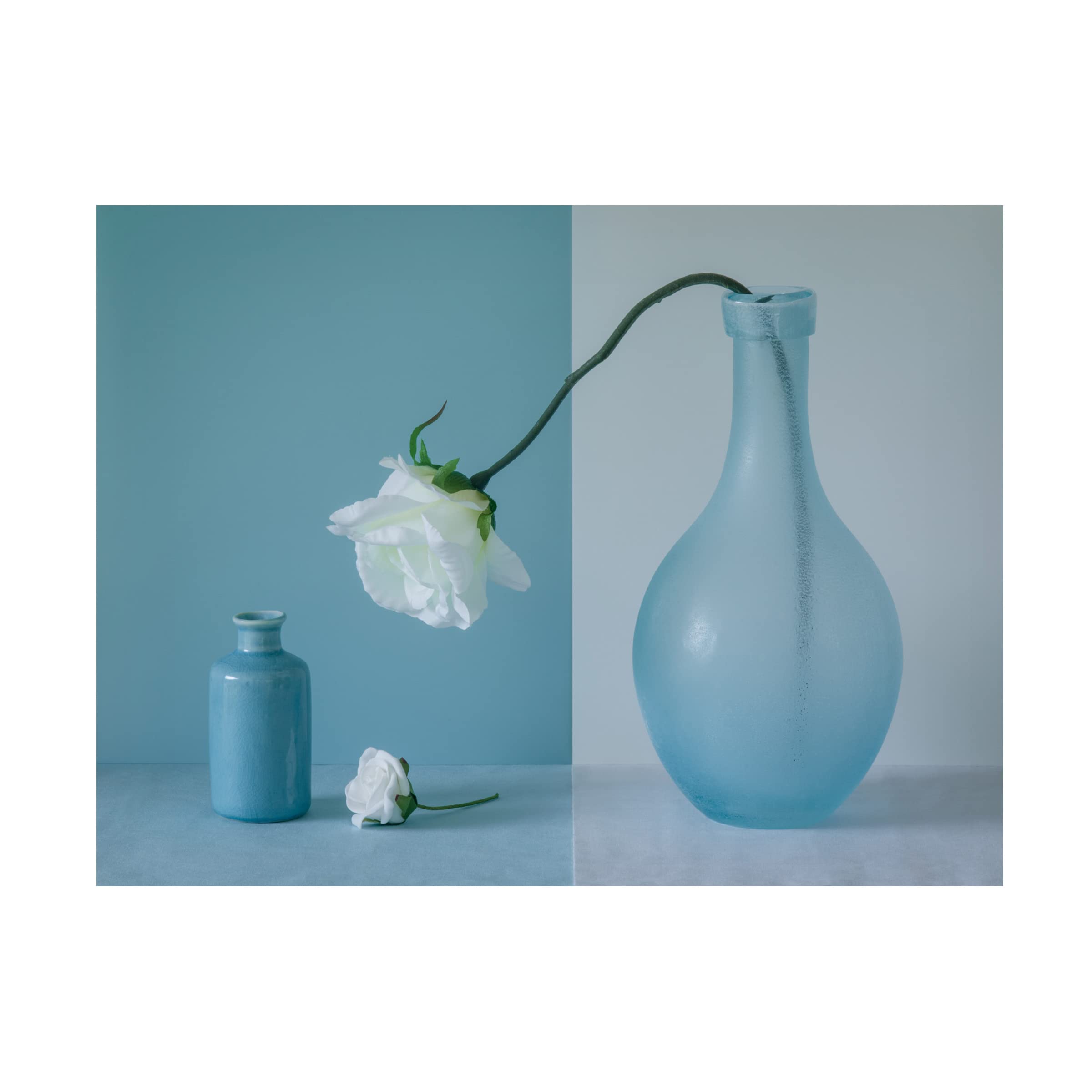 Trademark Fine Art 'Out Of The Vase' Canvas Wall Art by Jacqueline Hammer - Modern Floral Painting for Living Room, Bedroom & Office Decor