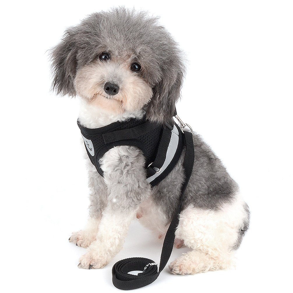Ranphy Reflective No-Pull Dog Harness Vest with Leash Set - Soft Mesh Step-in Jacket for Small Dogs & Cats (Yorkie, Chihuahua, Puppy, Kitten) - Black | Perfect for Night Walks, Training & Outdoor Safety