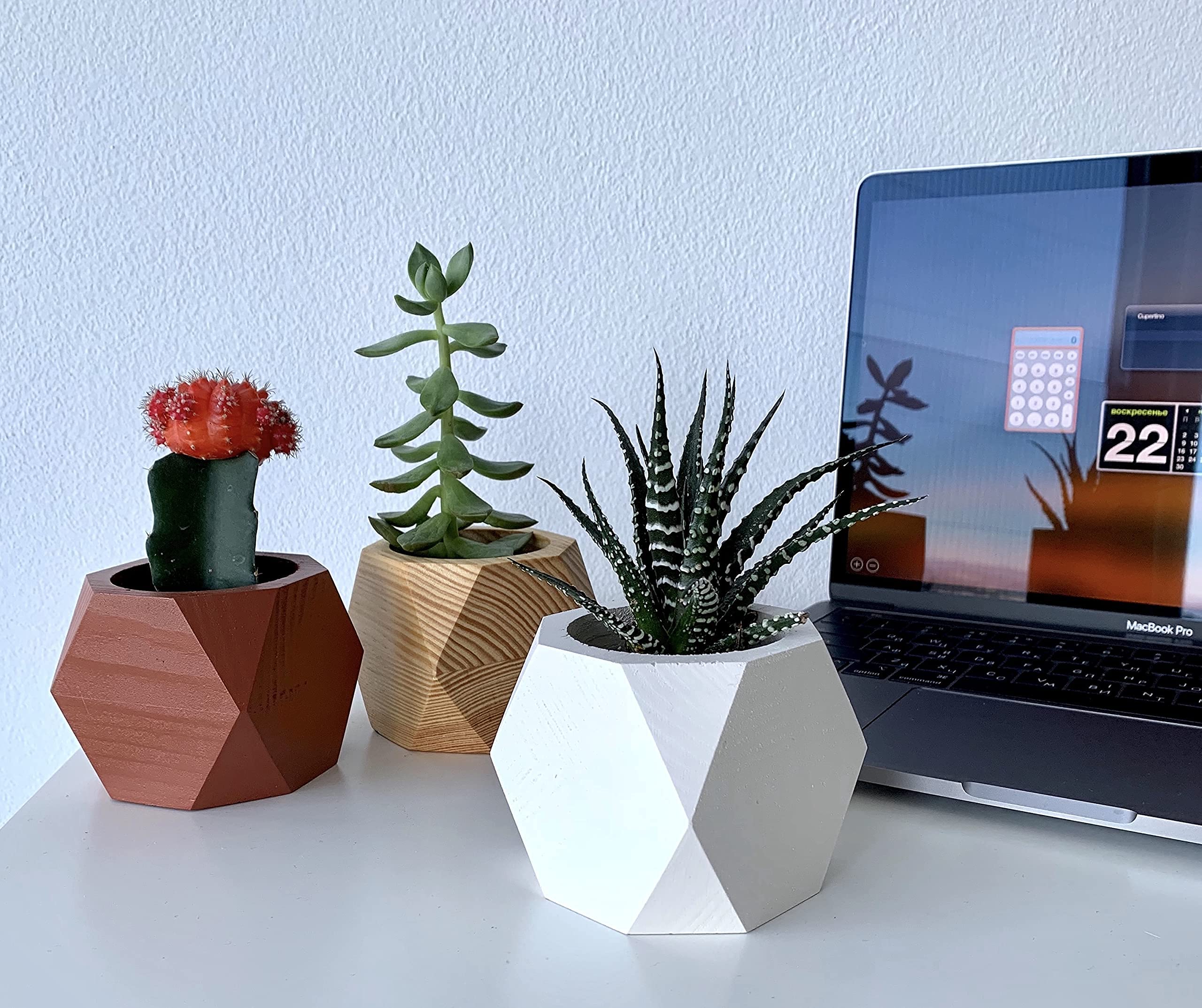 Natural Wooden Succulent Planter - Small Indoor Plant Pot for Succulents, Faux Plants, Preserved Moss & Flowers - Perfect for Home Decor, Office Desk & Gift Ideas