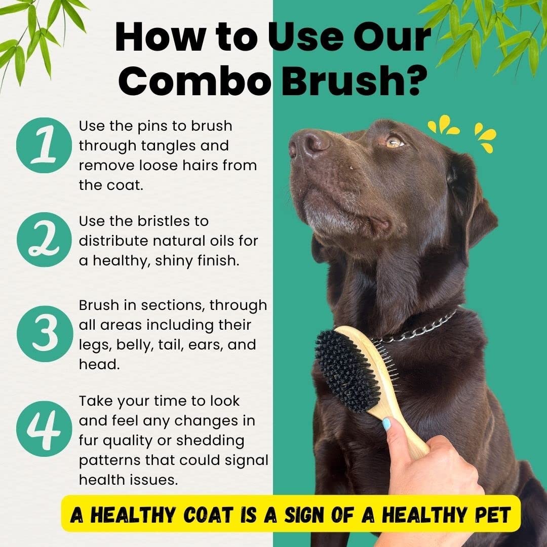 Premium Double-Sided Pet Grooming Brush - Bamboo Handle with Ball Pins & Soft Nylon Bristles for Dogs & Cats - Effective Shedding Control & Hair Removal - Perfect for Daily Brushing, Detangling & Coat Maintenance (Large Size)