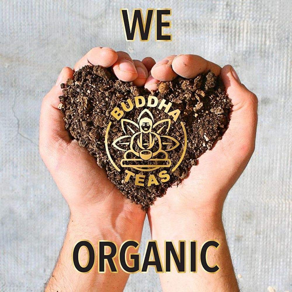 Organic Milk Thistle Tea by Buddha Teas - OU Kosher, USDA & CCOF Certified, 18 Bleach-Free Tea Bags | Supports Liver Health & Detox, Perfect for Daily Wellness & Relaxation