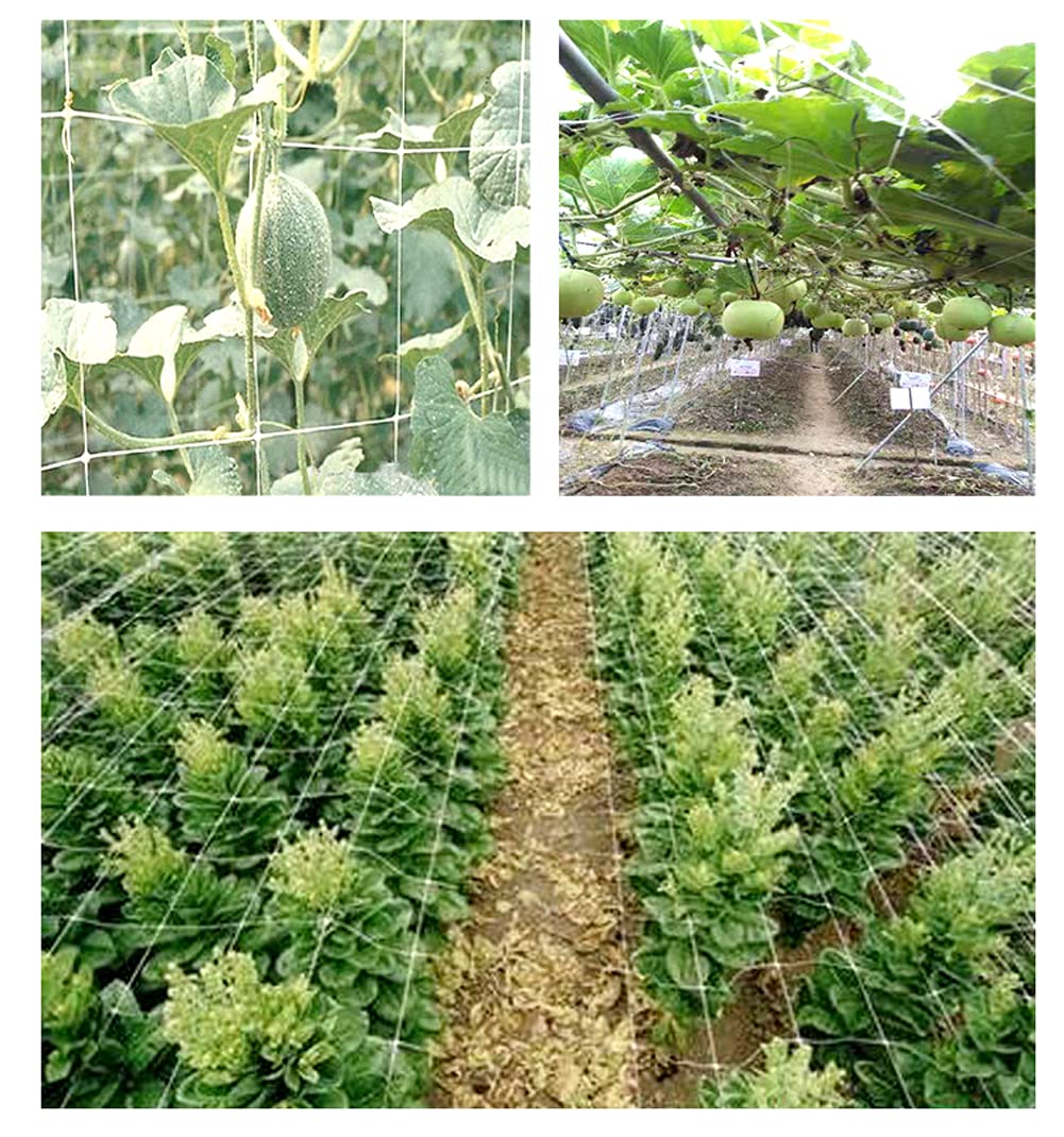 Heavy Duty Polyester Plant Trellis Netting - 5x30ft Square Mesh Support Net for Climbing Plants, Fruits, Vegetables - Durable Garden Trellis for Cucumbers, Tomatoes, Peas - 1 Pack - Perfect for Vertical Gardening & Backyard Farming