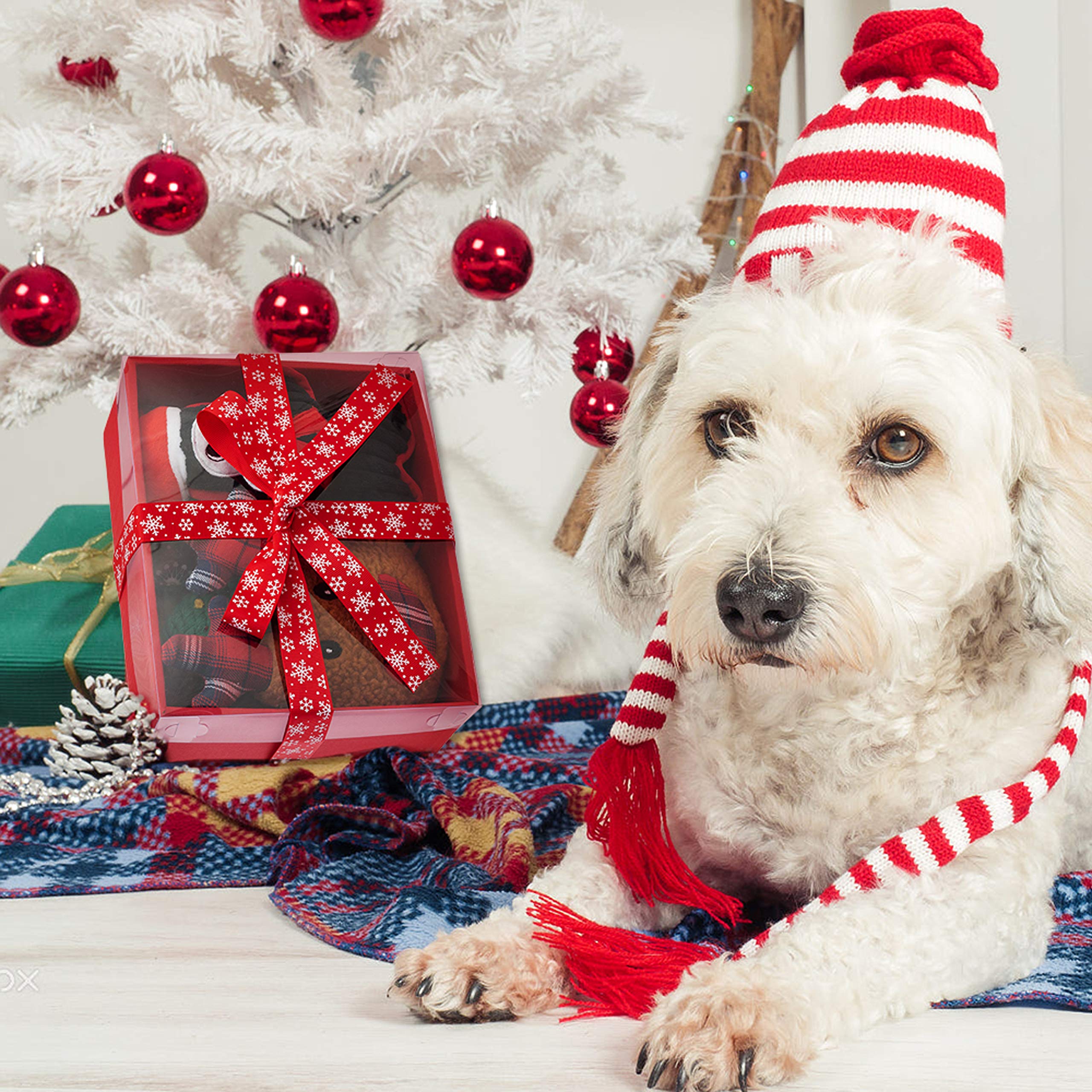 Christmas Dog Toys 6-Pack - Squeaky Chew Toys, Rope Toys & Red Tennis Balls for Small to Large Dogs | Interactive Holiday Pet Gifts for Puppies & Adult Dogs | Perfect for Christmas Playtime, Training & Gift Giving